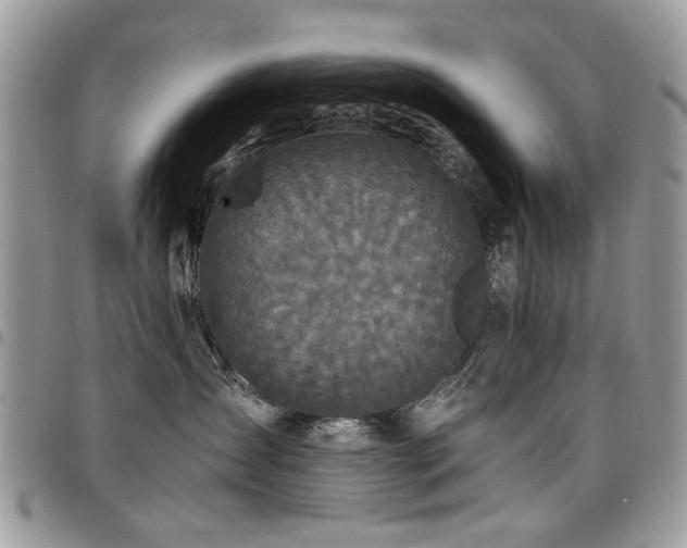 X0000098010431200803281316
