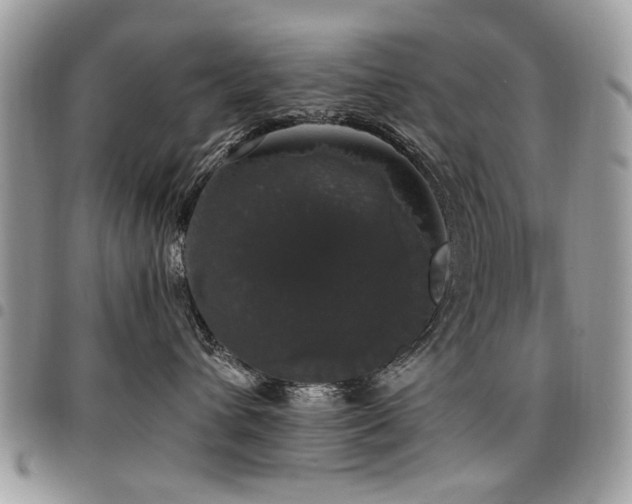 X0000098010432200803281316