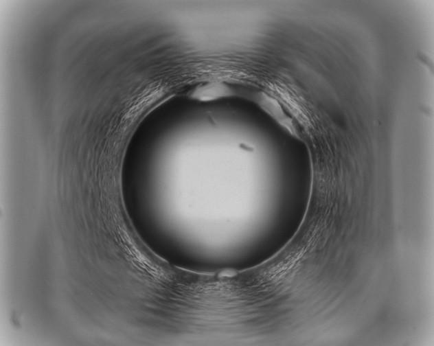 X0000098010433200803281316
