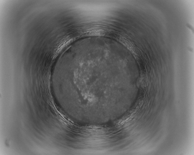 X0000098010434200803281316