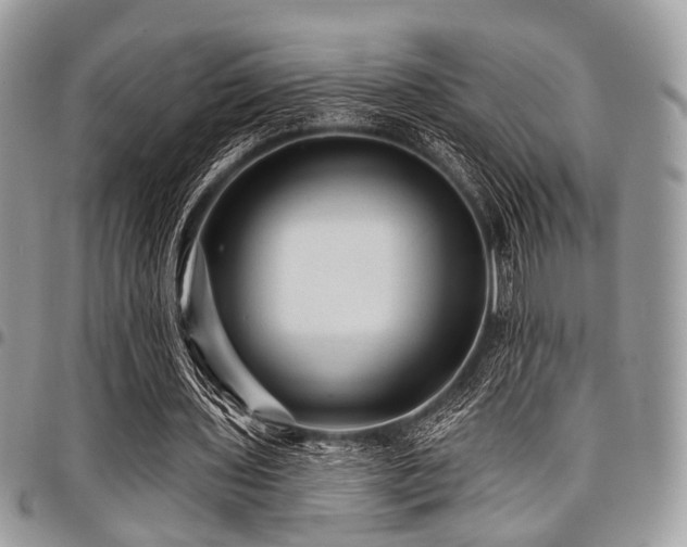 X0000098010435200803281316