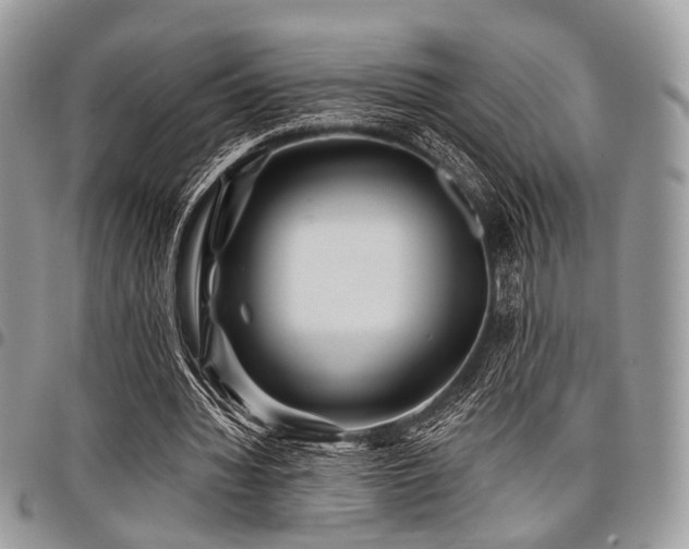 X0000098010436200803281316