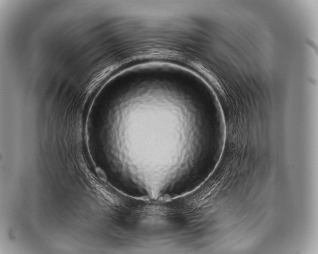 X0000098010437200803281316