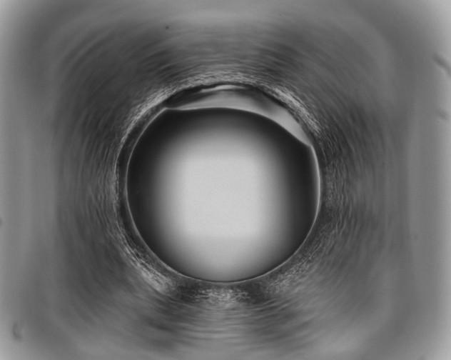X0000098010439200803281316