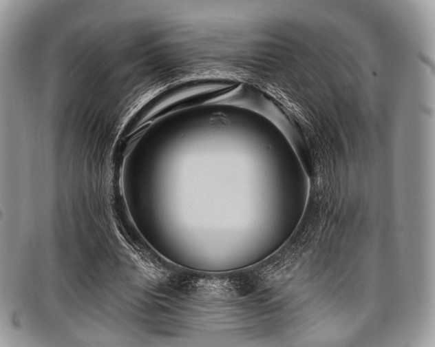 X0000098010440200803281316