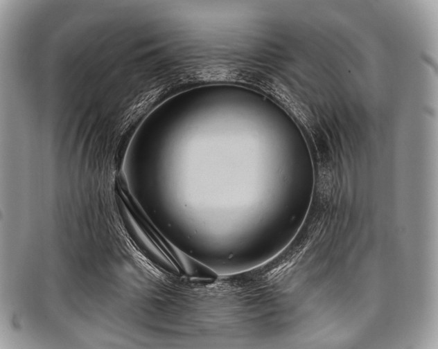 X0000098010441200803281316