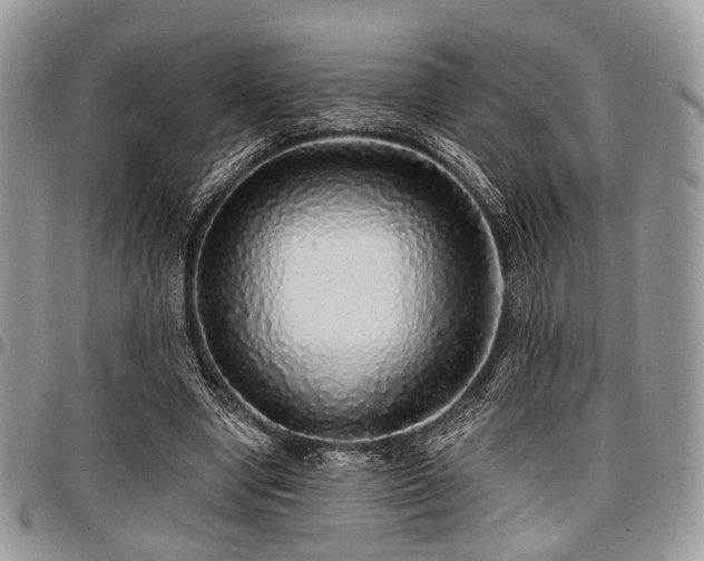 X0000098010442200803281316