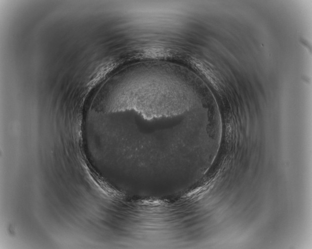 X0000098010443200803281316