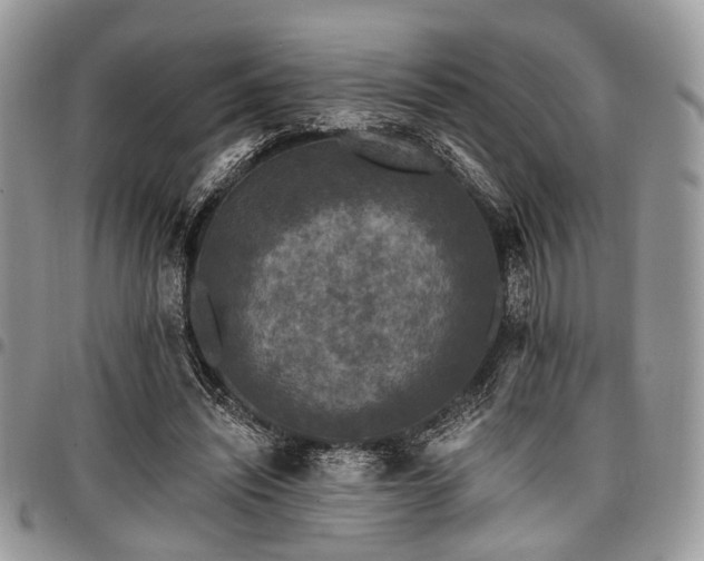 X0000098010444200803281316