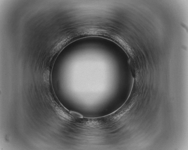 X0000098010445200803281316