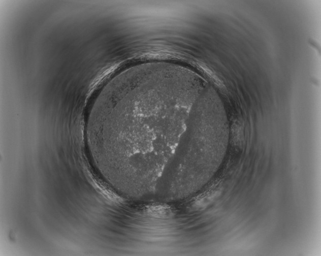 X0000098010446200803281316