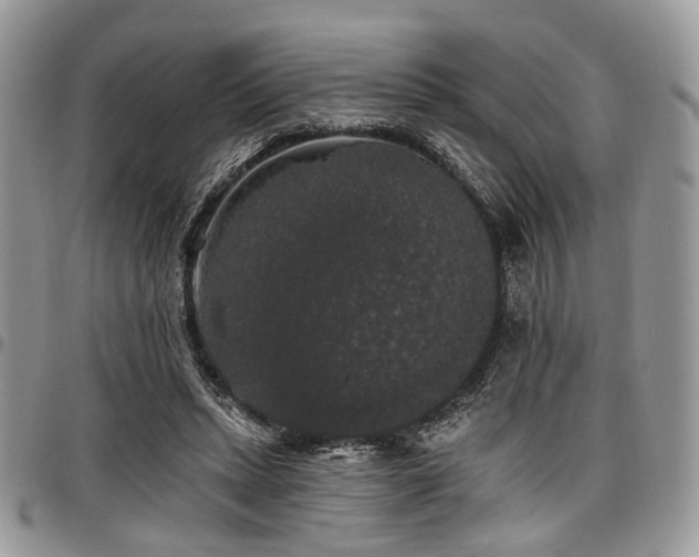 X0000098010447200803281316