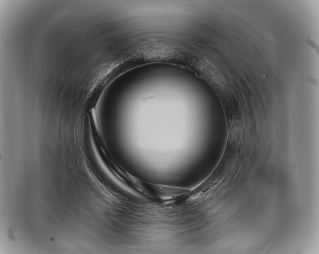 X0000098010448200803281316