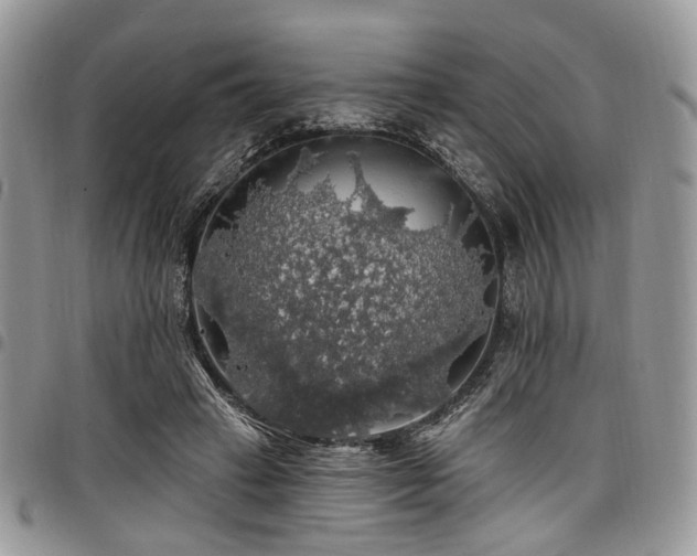 X0000098010449200803281316