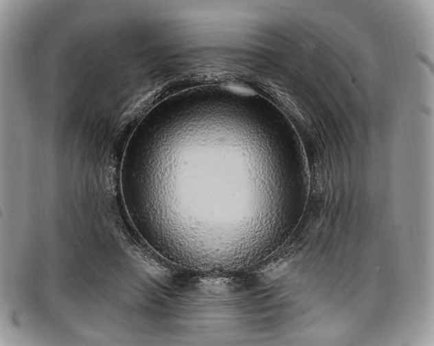 X0000098010450200803281316