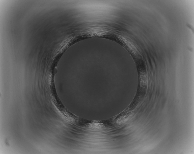 X0000098010451200803281316