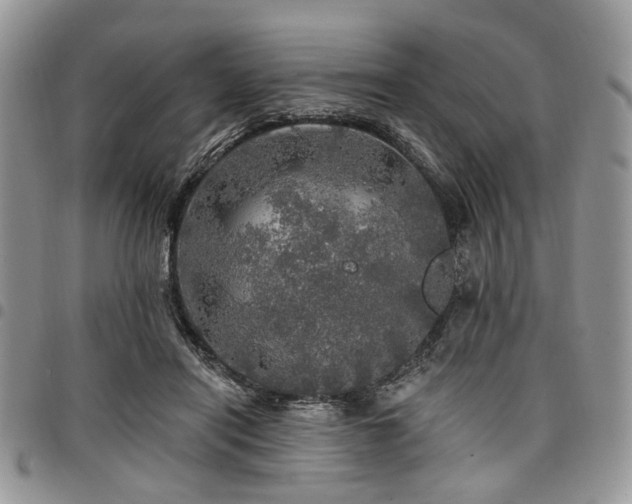 X0000098010454200803281316