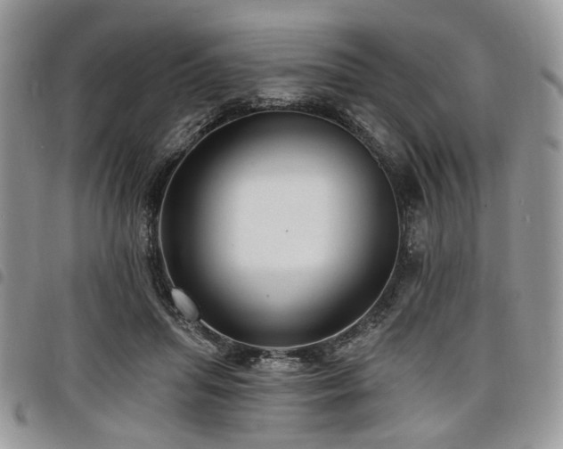 X0000098010455200803281316