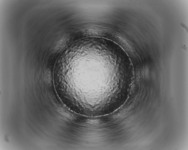 X0000098010457200803281316