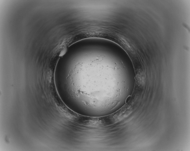 X0000098010458200803281316