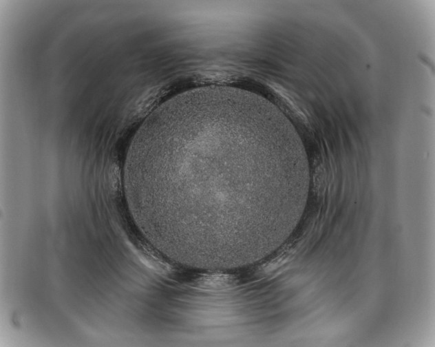 X0000098010459200803281316