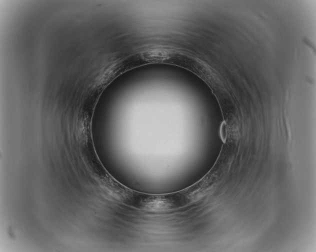 X0000098010460200803281316