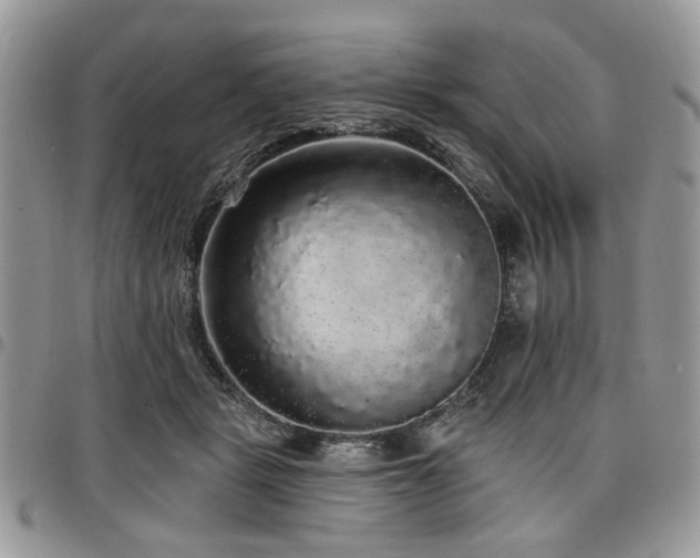 X0000098010461200803281316