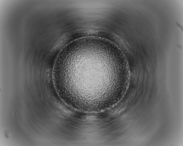 X0000098010462200803281316