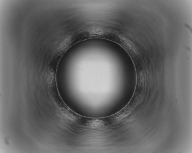 X0000098010463200803281316