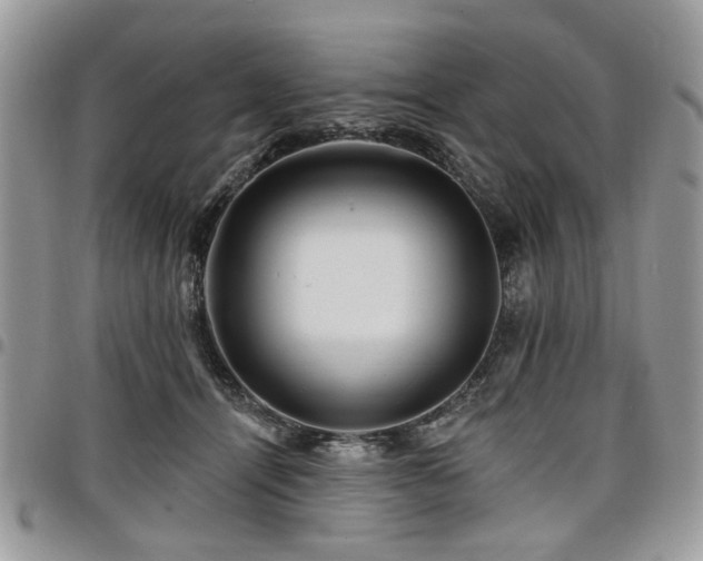 X0000098010464200803281316