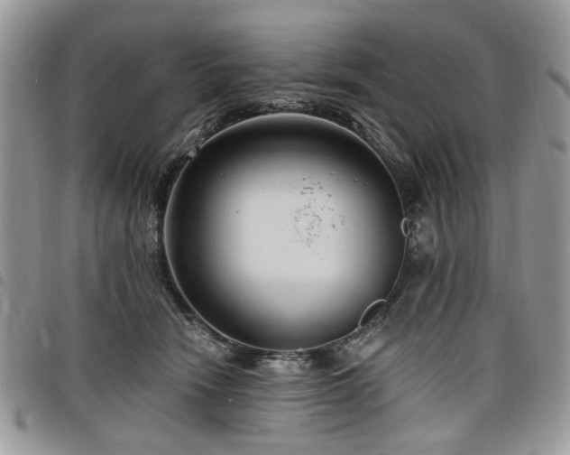 X0000098010466200803281316