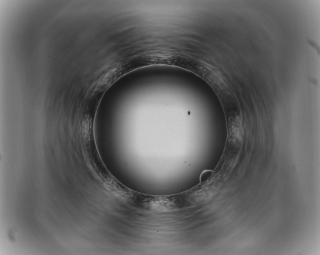 X0000098010468200803281316