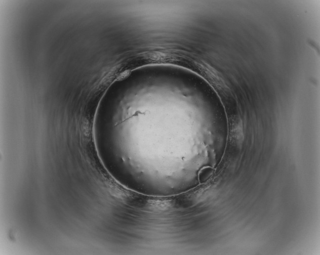 X0000098010469200803281316