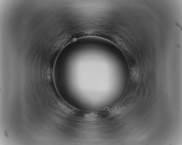 X0000098010470200803281316