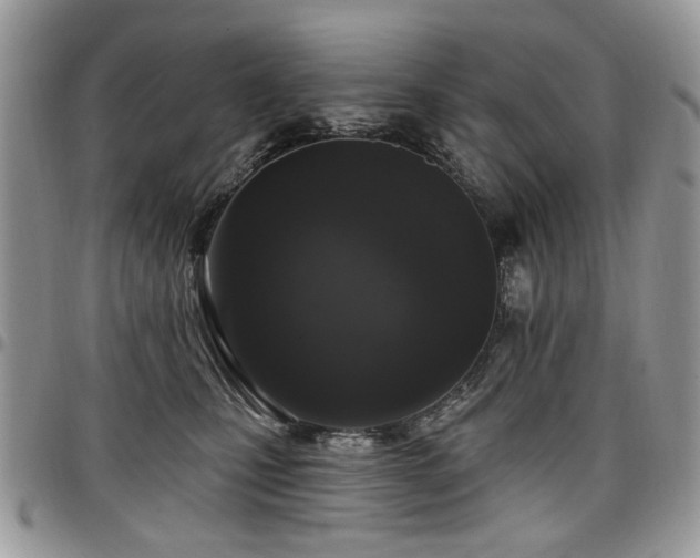 X0000098010471200803281316