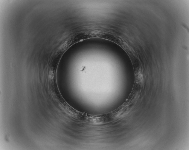 X0000098010472200803281316