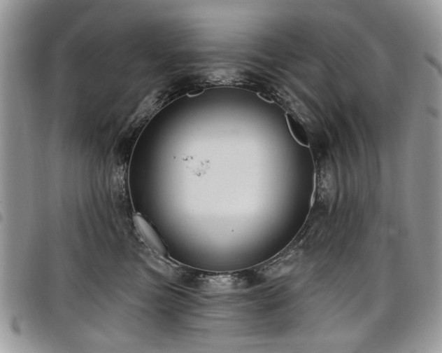 X0000098010473200803281316