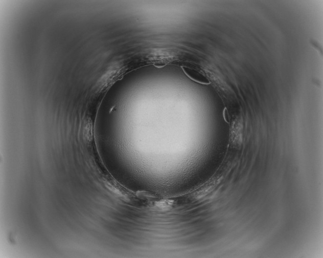X0000098010474200803281316