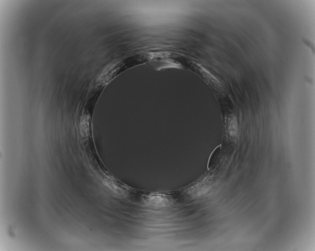 X0000098010475200803281316