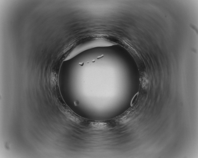 X0000098010476200803281316