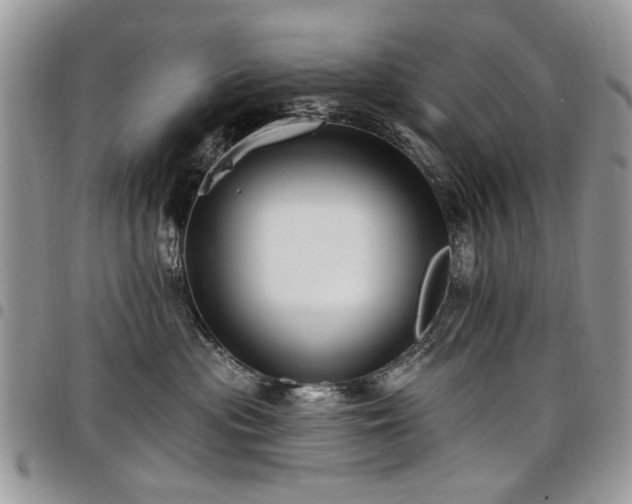 X0000098010477200803281316