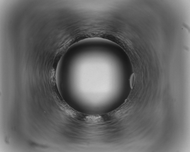 X0000098010480200803281316