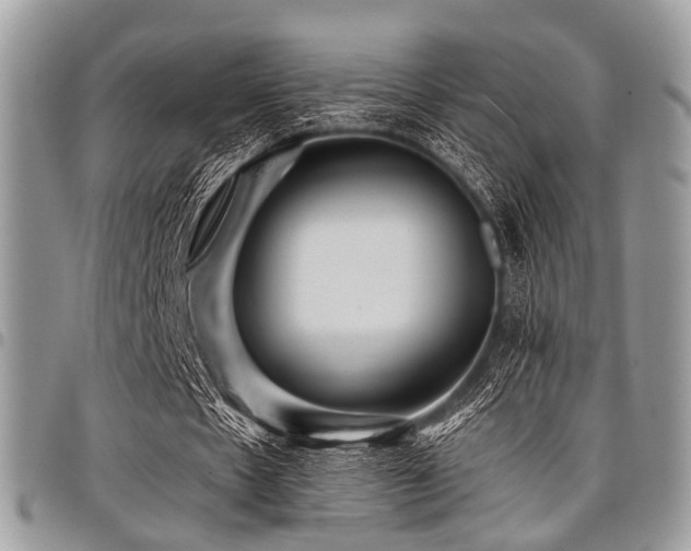 X0000098010481200803281315