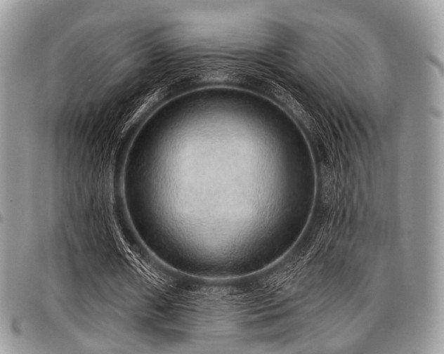 X0000098010482200803281315