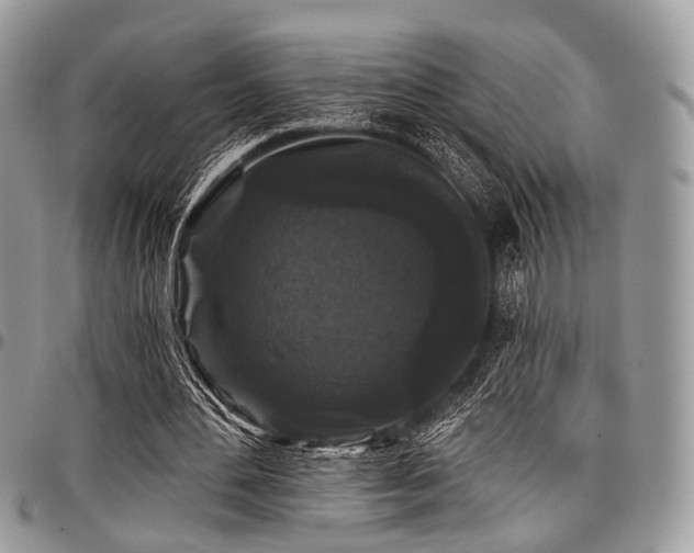 X0000098010484200803281315