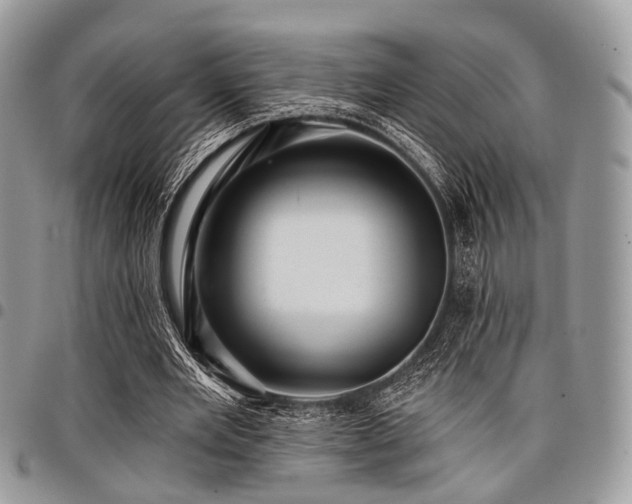 X0000098010485200803281315