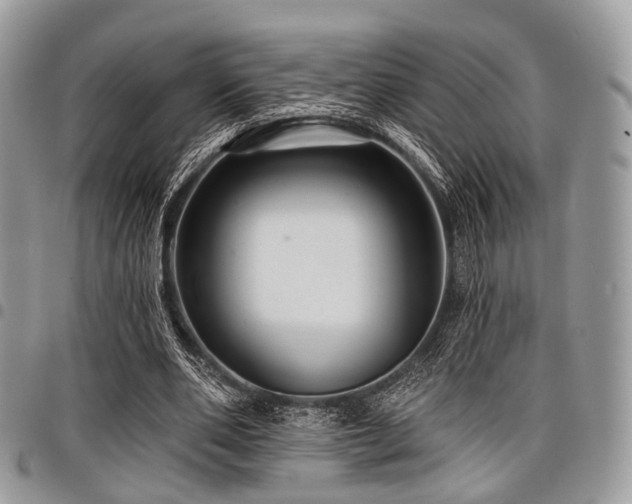X0000098010486200803281315