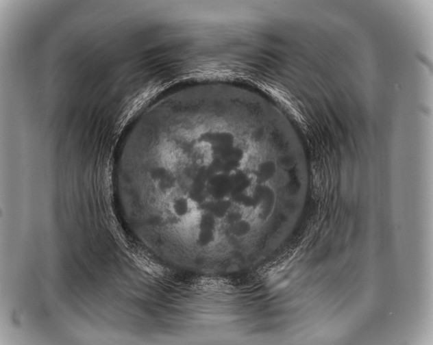 X0000098010487200803281315