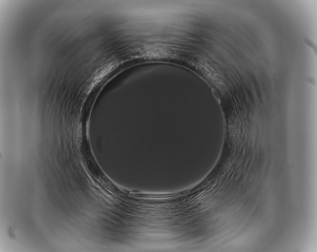 X0000098010488200803281315
