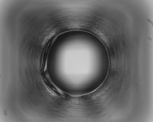 X0000098010489200803281315